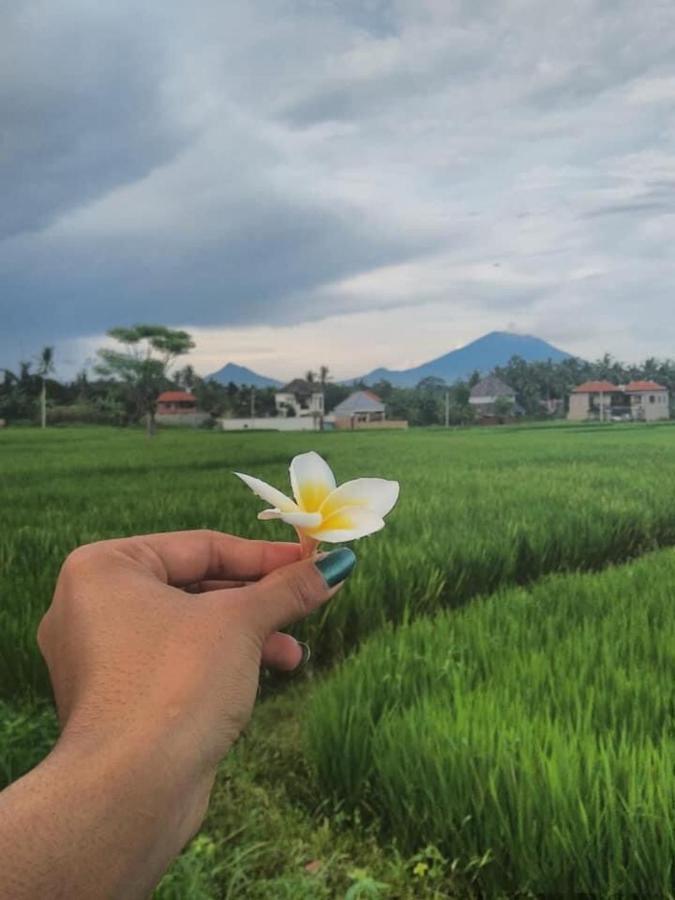 Tempat Tidur & Sarapan Svaha Ubud (Bali)